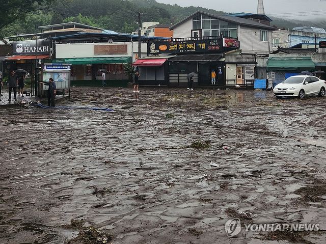 물 빠진 뒤 뻘밭으로 변한 대구 북구 노곡동