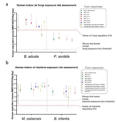 각 미생물 주요 독성 지표 RfD값을 미생물 노출 추정치와 비교한 그림
