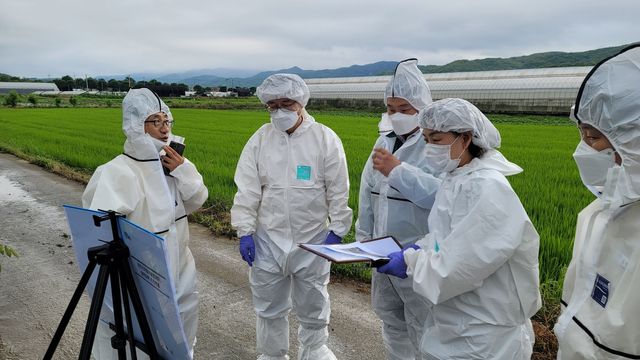 김대순 행정2부지사 ASF 발생농가 긴급 방역 현장 점검