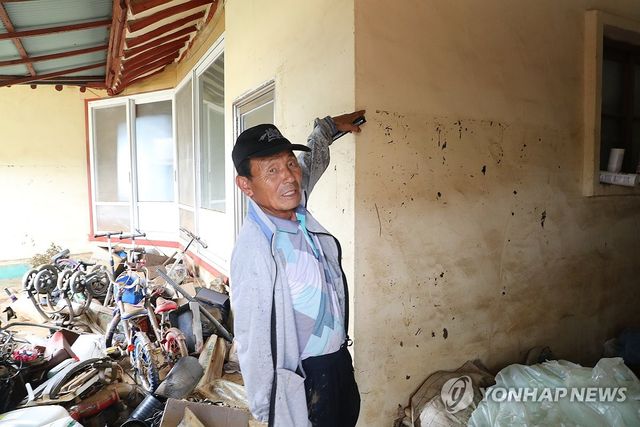 "성인 키보다 높다"