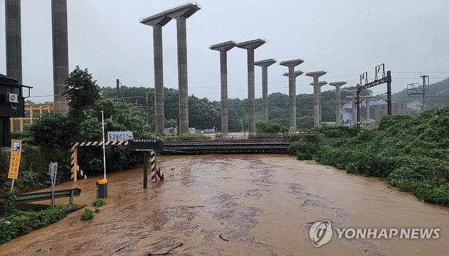 범람 위기 세종시 하천