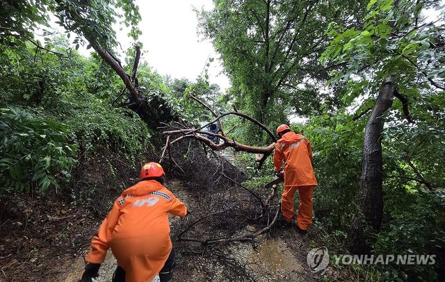 안전조치 나선 소방관들