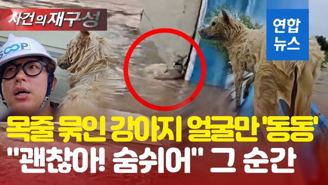 [영상] "어! 강아지" 목줄 묶인채 얼굴만 동동…익사 직전 극적 구조 - 2