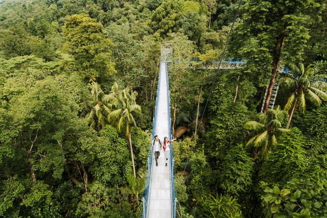 'FRIM 셀랑고르 포레스트 파크' [말레이시아관광청 제공]