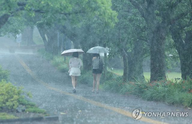 게릴라성 폭우 쏟아지는 제주