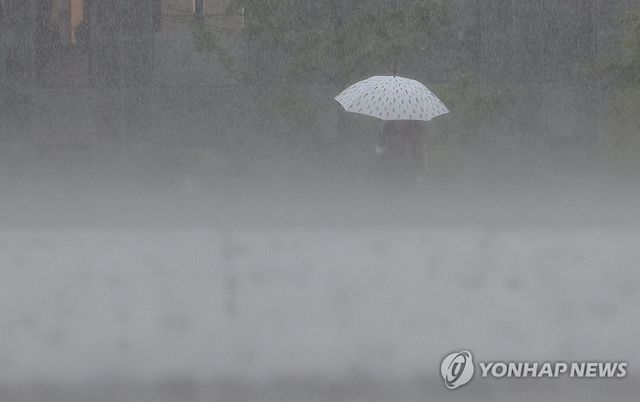 강한 비가 내리는 거리