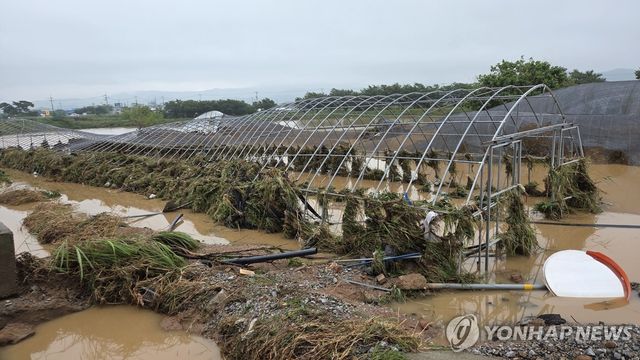 초토화된 비닐하우스
