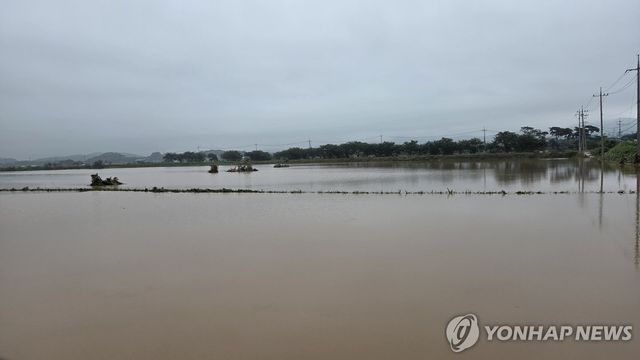 "여기가 원래는 논이었어"