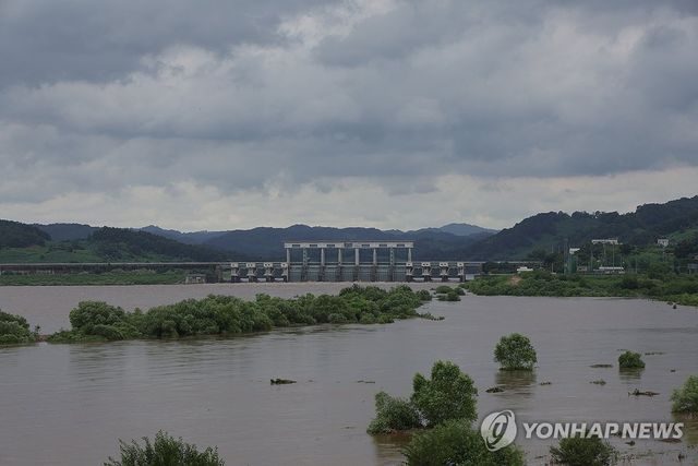 물에 잠긴 임진강변 수목