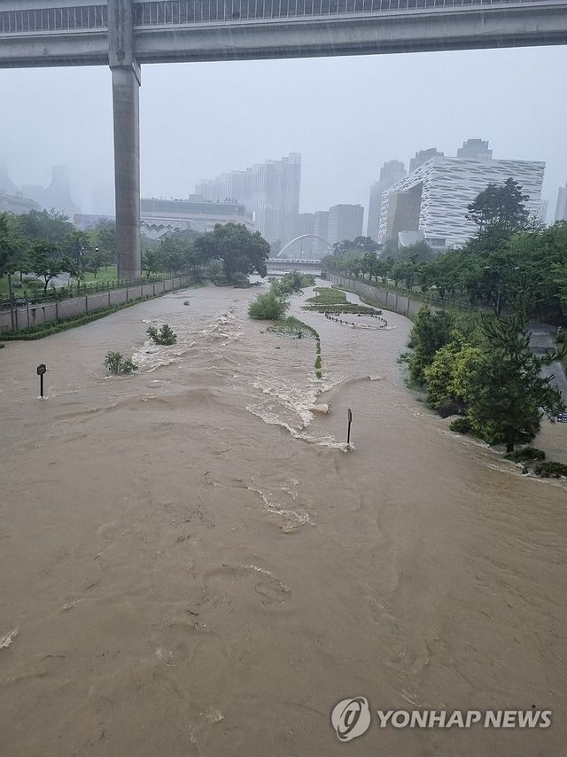 물에 잠긴 세종시 도심 하천