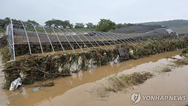 초토화된 비닐하우스