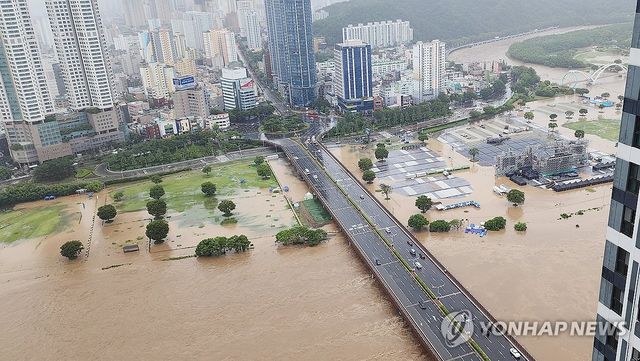 빗물에 잠긴 태화강변