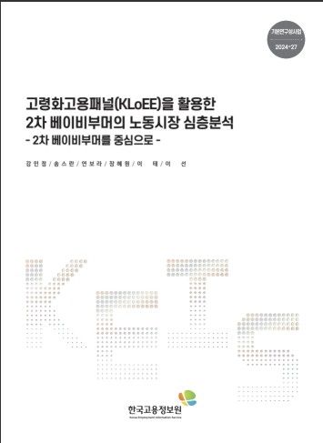 ['고령화고용패널을 활용한 2차 베이비부머의 노동시장 심층분석' 보고서 캡처. 재판매 및 DB 금지]