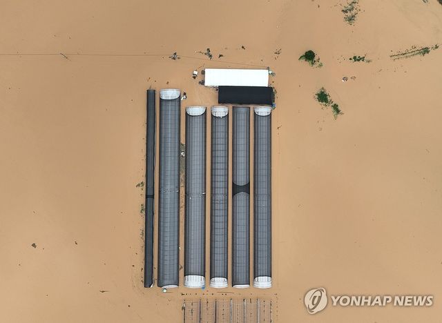 폭우로 침수된 비닐하우스