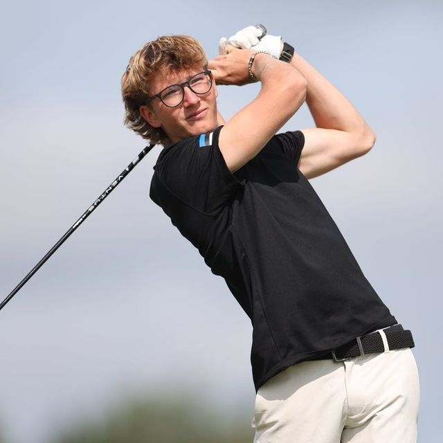 리하르트 테더의 스윙.