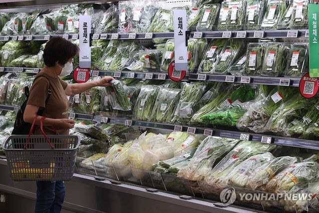 채소값 들썩…물가 비상등