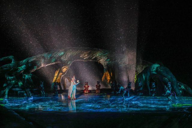 톄먼호선쇼 [사진/백승렬 기자]