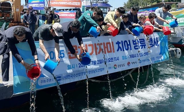 문치가자미 치어 방류