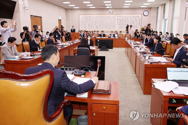 법사위 소위, 상법개정안 심사