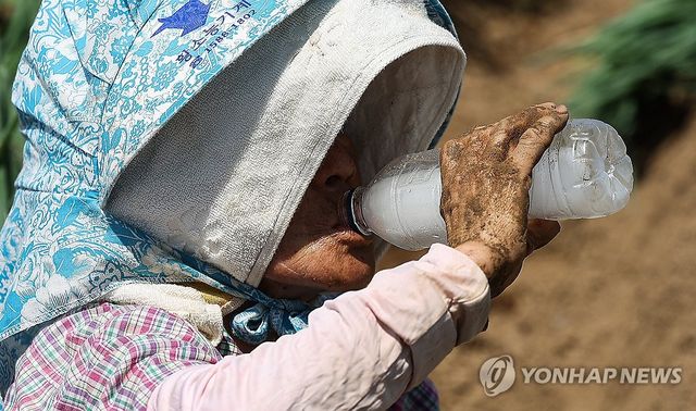 폭염, 수분 보충은 필수