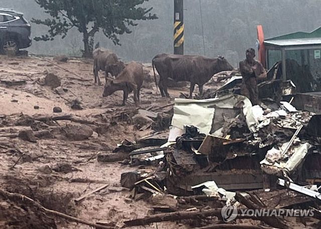 산청군 산사태 주민·소 대피