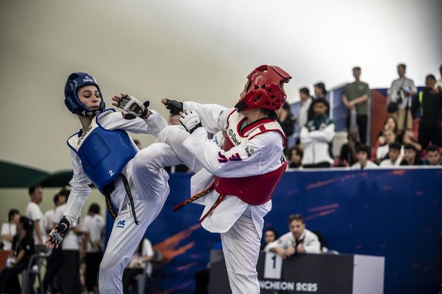 주말동안 열린 오픈대회 