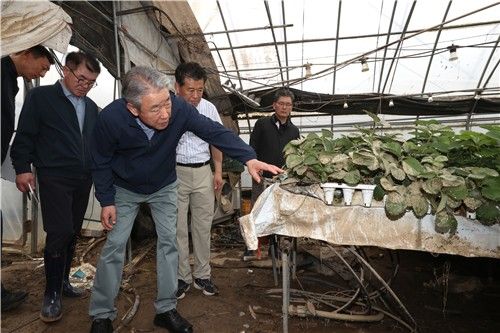 20일 호우 피해 현장을 방문한 강호동 농협중앙회장