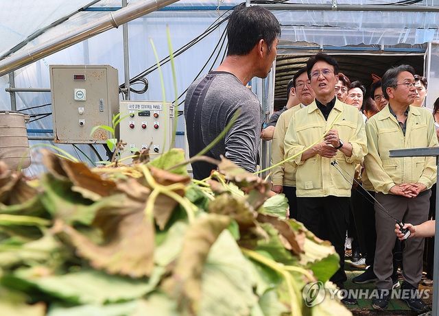 침수 피해 딸기 육묘장 찾은 김민석 총리