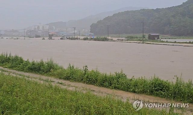 폭우에 불어난 천안천