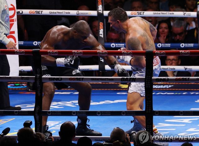 대니얼 뒤부아(왼쪽)를 몰아붙이는 올렉산드르 우식