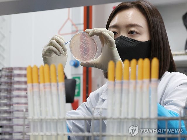 식중독균 배양분리작업 시연