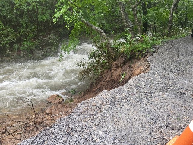 명승 '조계산 송광사·선암사 일원' 피해 모습 