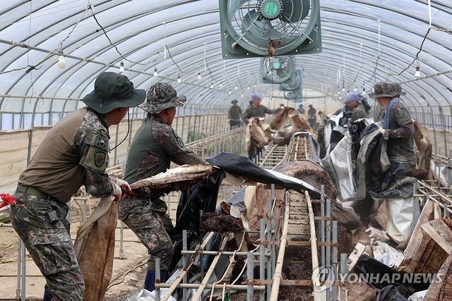 수해복구 작업하는 장병