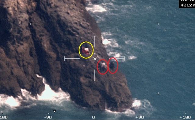 입도 금지 섬에 몰래 들어온 낚시객