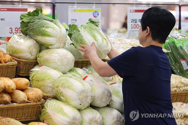 [연합뉴스 자료사진]