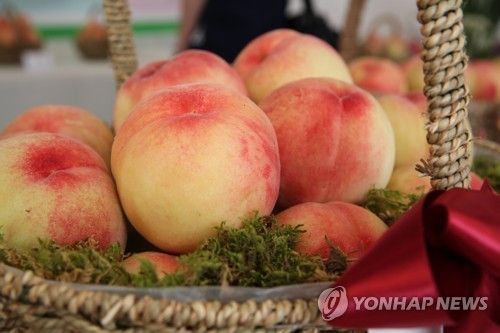 전주 복숭아