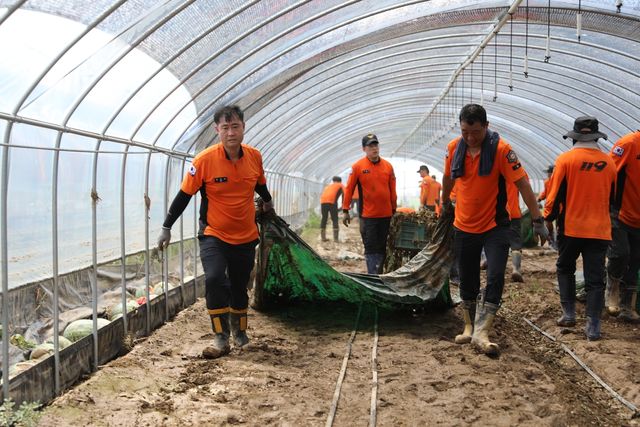 충남 예산 비닐하우스에서 수해 복구 돕는 소방관들