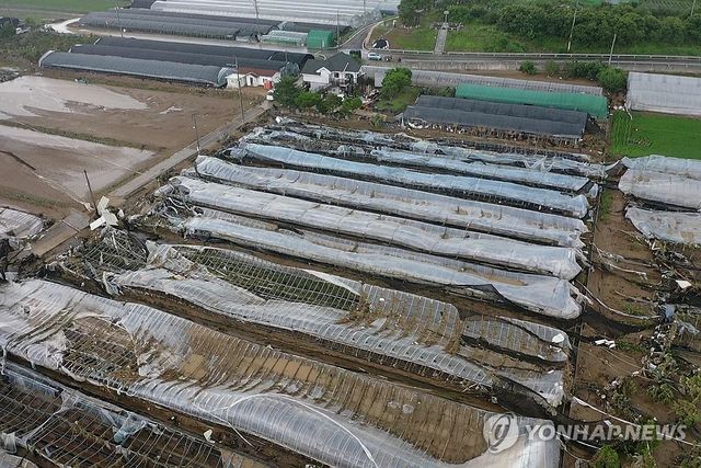 산청 집중호우 여파…딸기 비닐하우스 파손