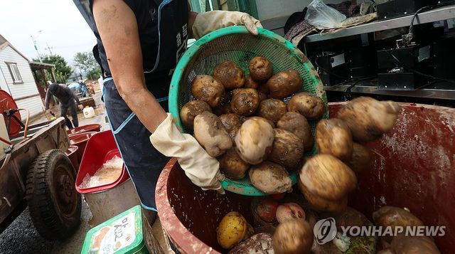 "다 버릴 수밖에 없습니다"