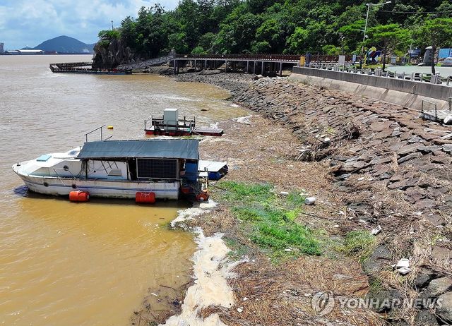 반복되는 수해 쓰레기 몸살
