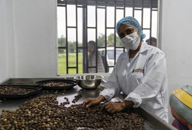 사차인치 유통 협동조합 코뮬티아그룹