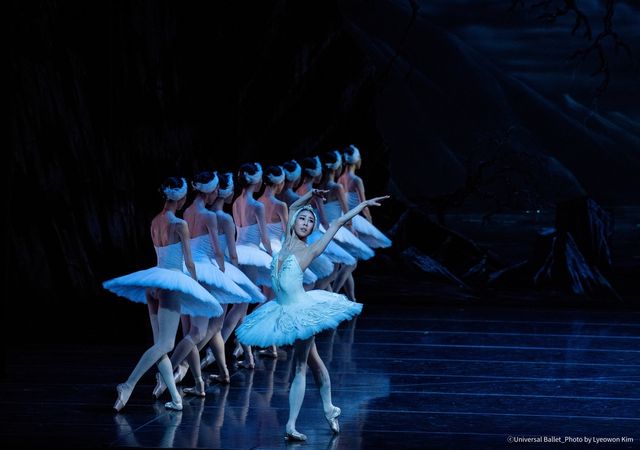 백조를 연기하는 홍향기