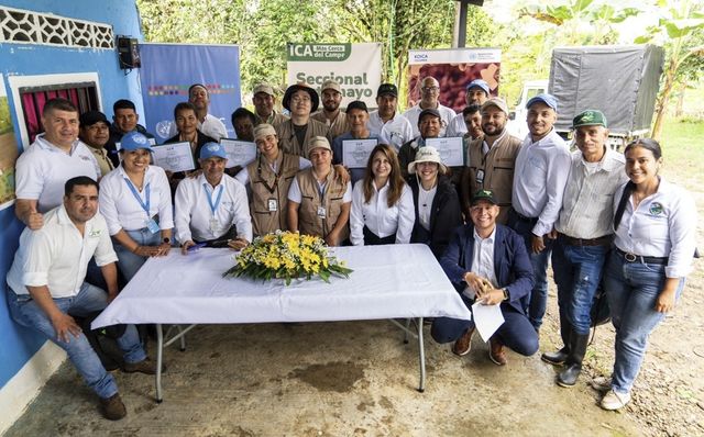 사차인치 재배 사업을 펼치는 코이카·UNDOC