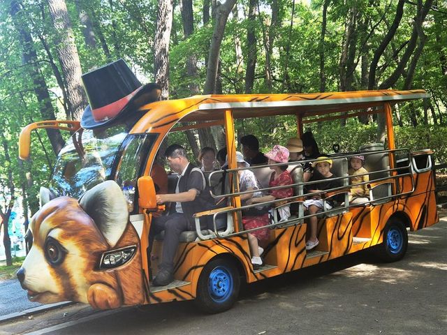 올해 처음 시범 도입된 관악산공원 어린이 물놀이장 전동카트