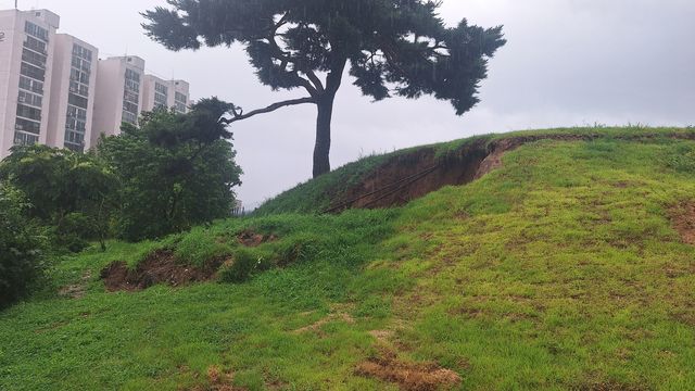 사적 '함안 말이산 고분군' 피해 모습 