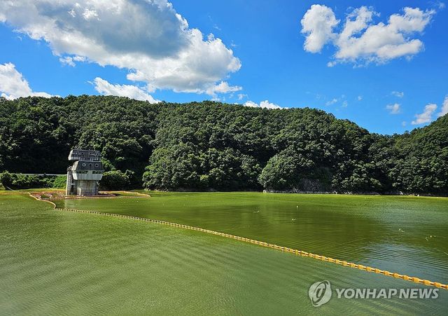 2024년 8월 녹조 발생한 횡성댐