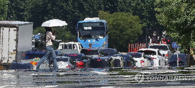 폭염 온대서 양산 썼어요