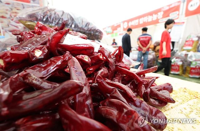 서울 영양고추 HOT 페스티벌