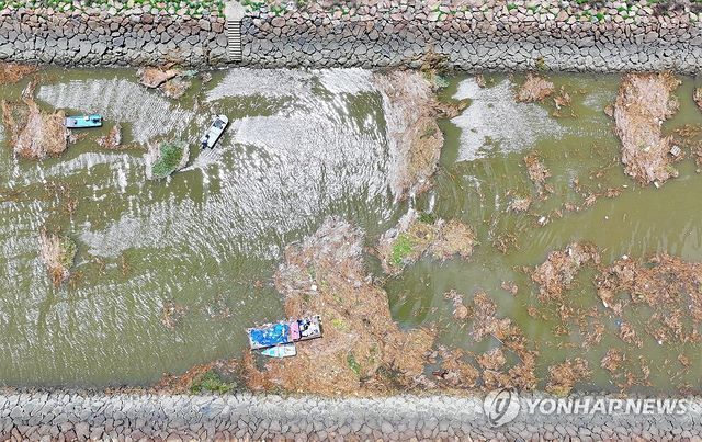 영산강 하구에 쌓인 수해 쓰레기