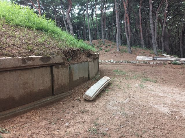 사적 '경주 진덕여왕릉' 피해 상황 